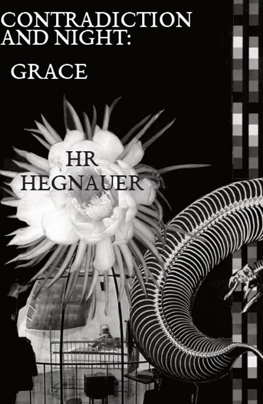 HR Hegnauer